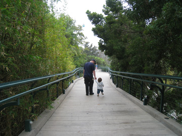 f0068883_15261978.jpg