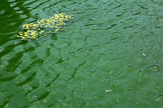 e0190885_19363580.jpg