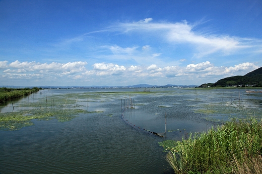 e0190885_19393746.jpg