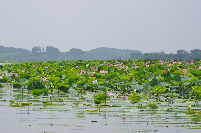 f0084796_22465014.jpg