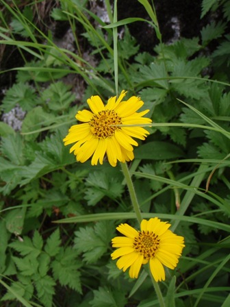 b0039898_17401291.jpg