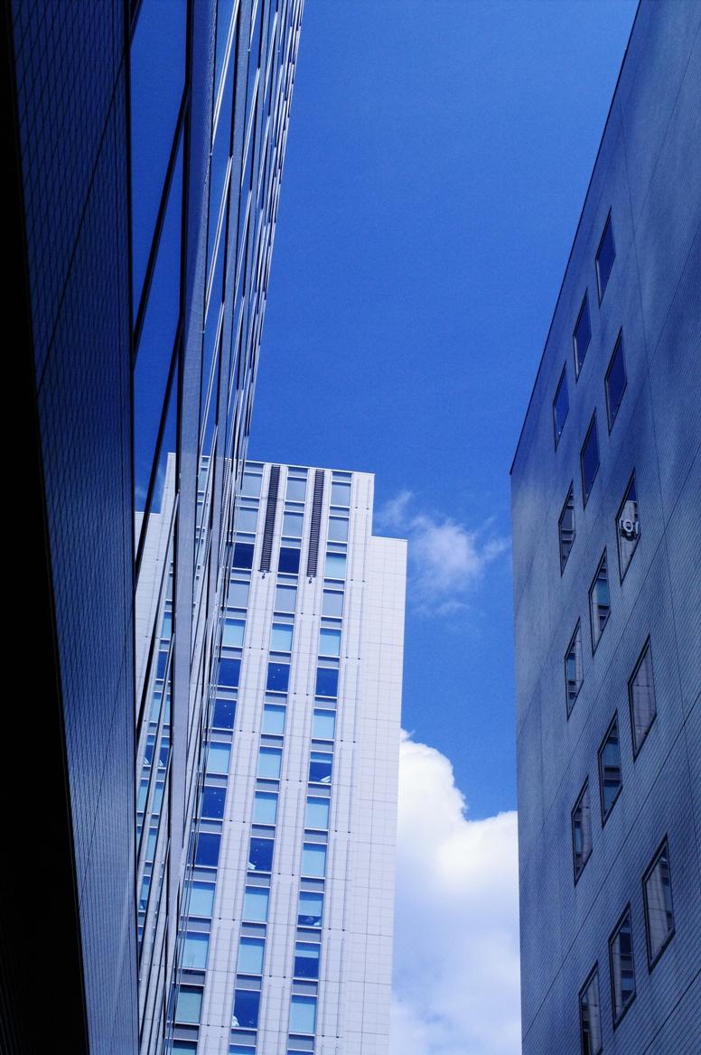 f0081398_2035562.jpg