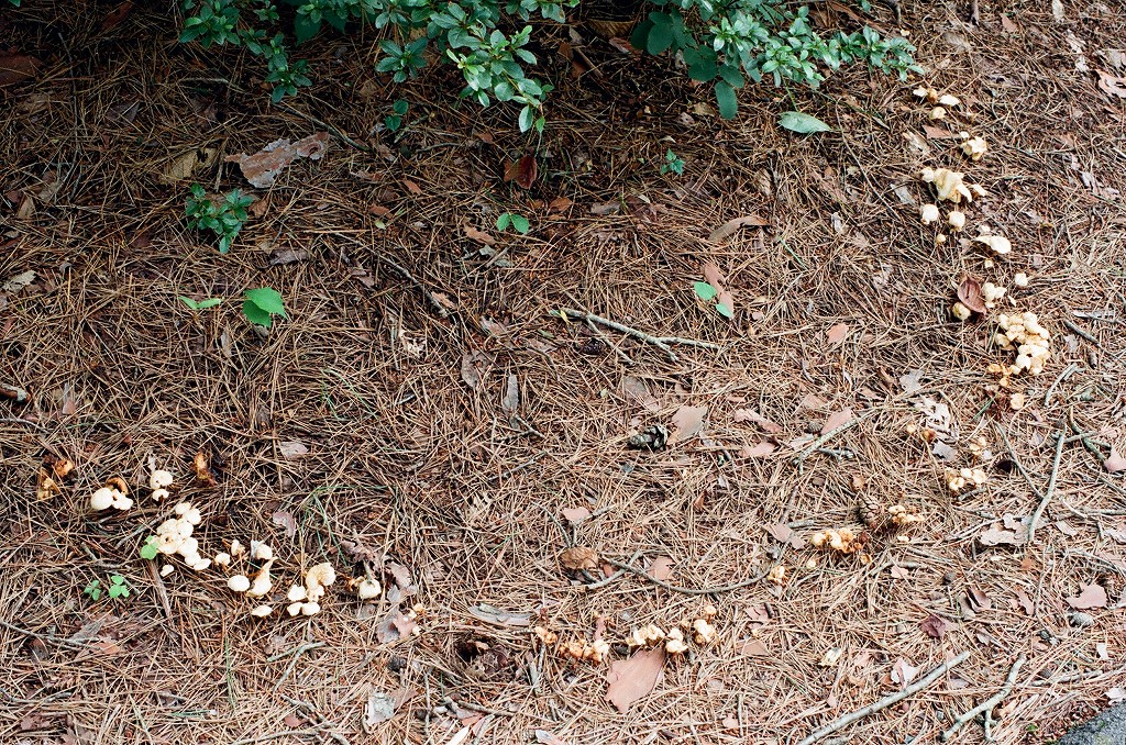 f0220698_2133395.jpg