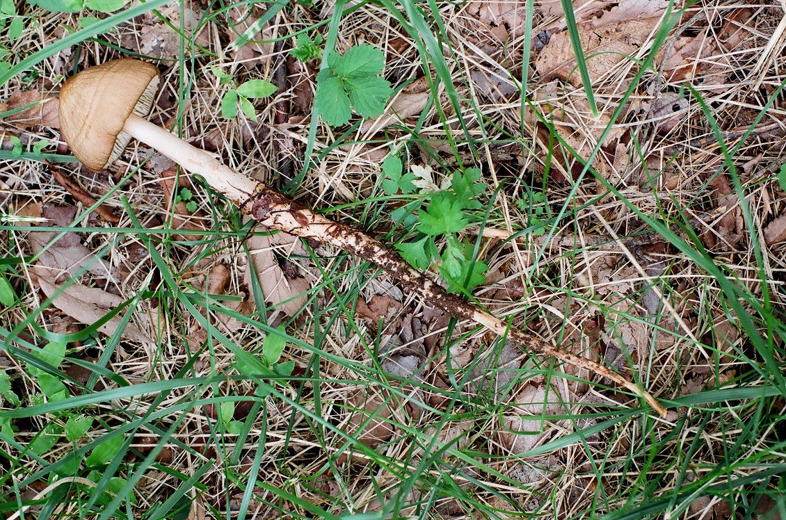 f0220698_21343996.jpg