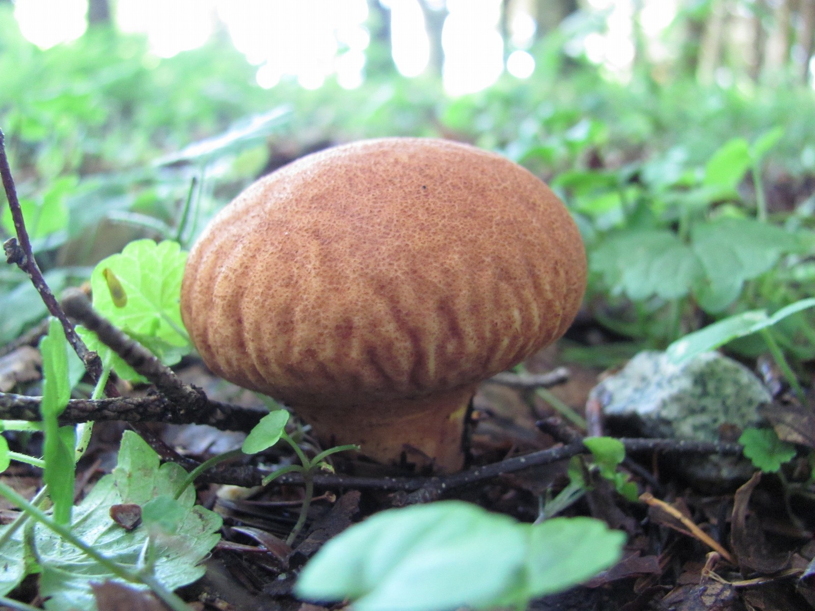 f0220698_21381176.jpg