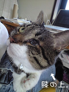 c0035001_1571760.jpg