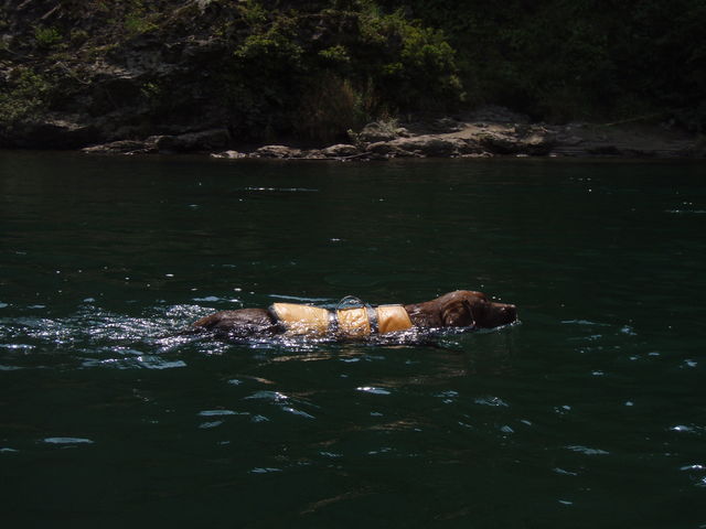 a0121502_871199.jpg
