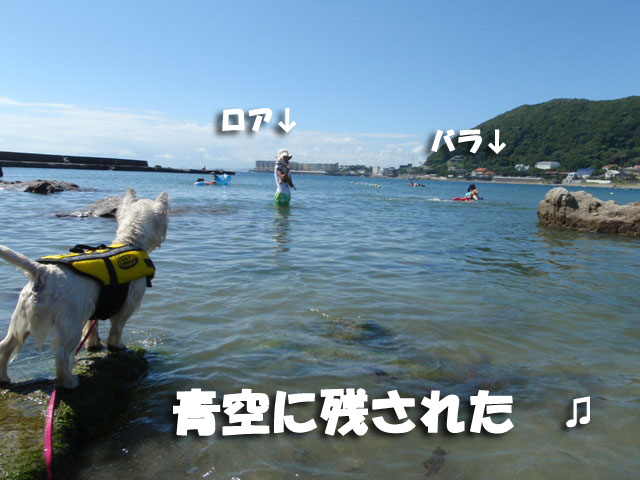 e0138005_1393032.jpg