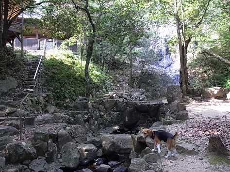 c0205806_21313045.jpg