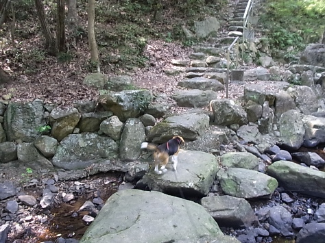 c0205806_21354756.jpg