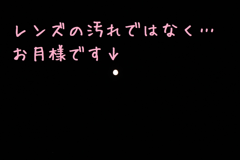 a0147507_22144658.jpg
