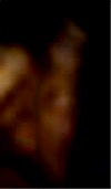 e0103408_1601491.gif