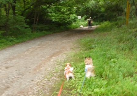 e0078510_16154464.jpg