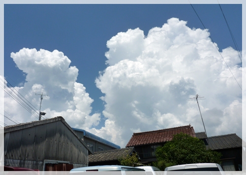 d0025414_23441248.jpg