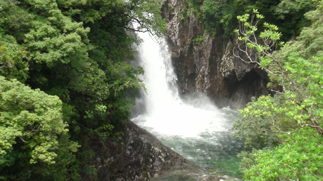 f0051814_21575851.jpg