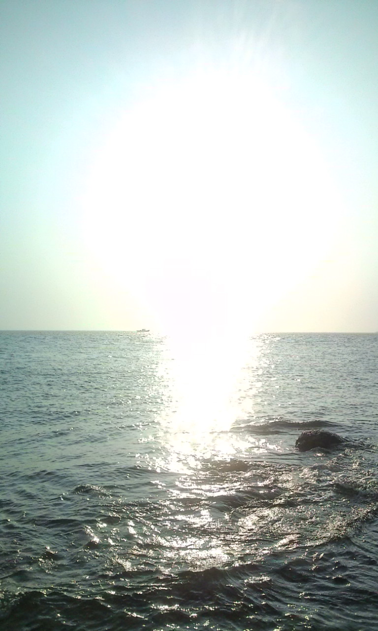 a0160216_2112219.jpg