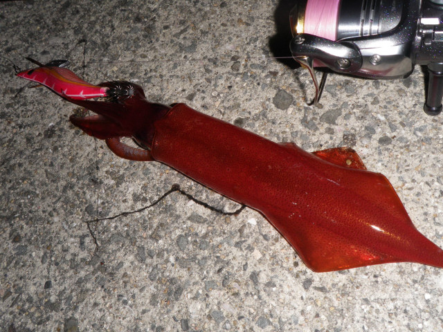 c0197219_23283173.jpg
