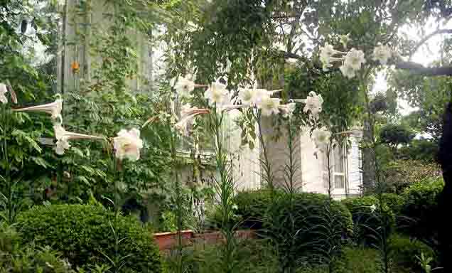 e0083820_8221559.jpg
