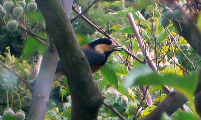 f0060424_13585714.jpg