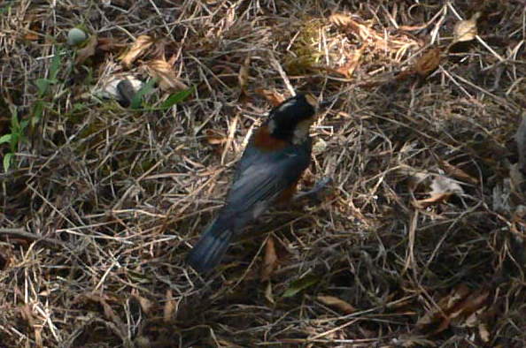 f0060424_1405651.jpg