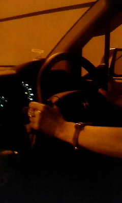 a0156526_82492.jpg