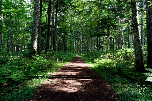 e0025030_1711411.jpg