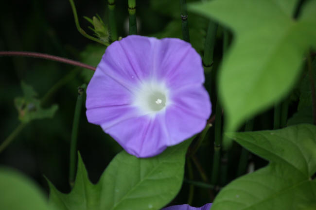 f0017530_20302171.jpg