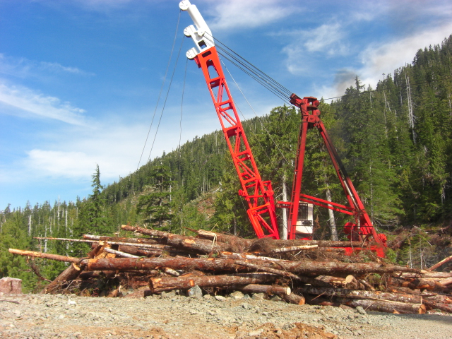f0036534_0483.jpg