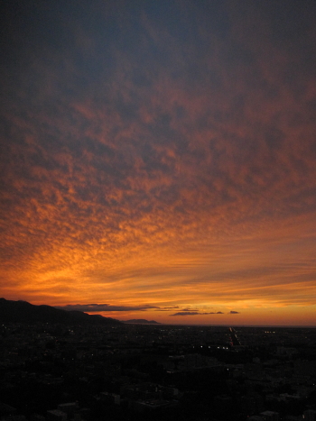 b0006537_20291246.jpg