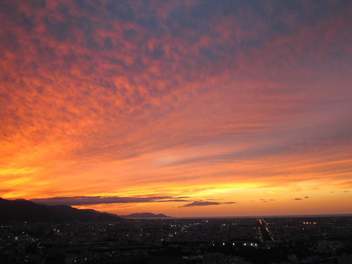 b0006537_20291796.jpg