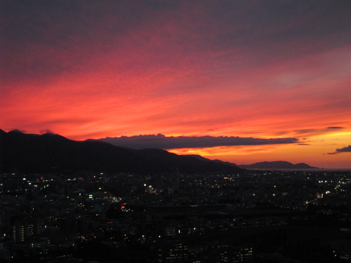 b0006537_2029837.jpg