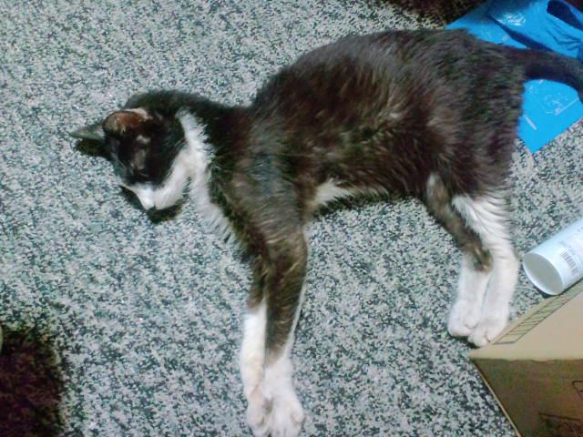 d0002143_2058899.jpg