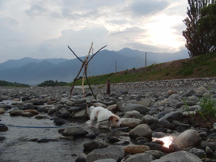 c0156345_220679.jpg