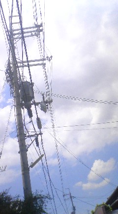 b0081348_2345889.jpg