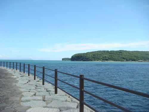 e0169149_21009.jpg