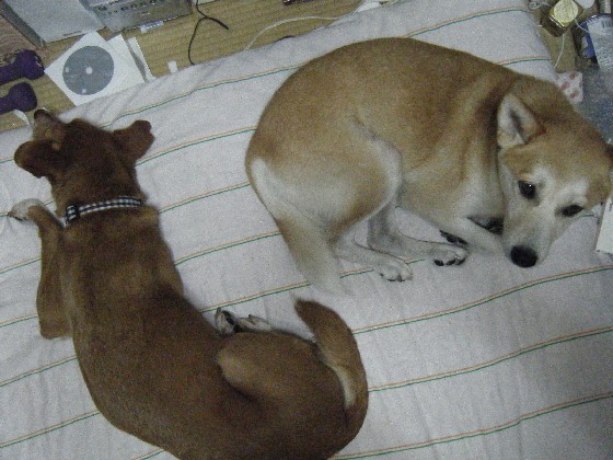 b0072650_10503040.jpg