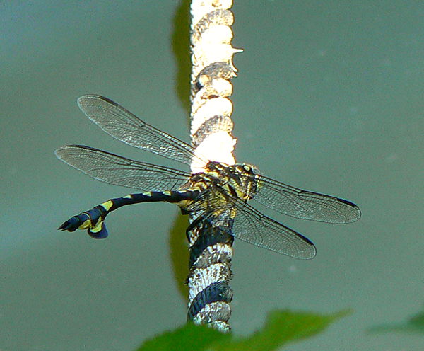 d0091754_2263738.jpg