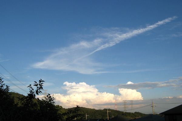 f0007956_2054770.jpg