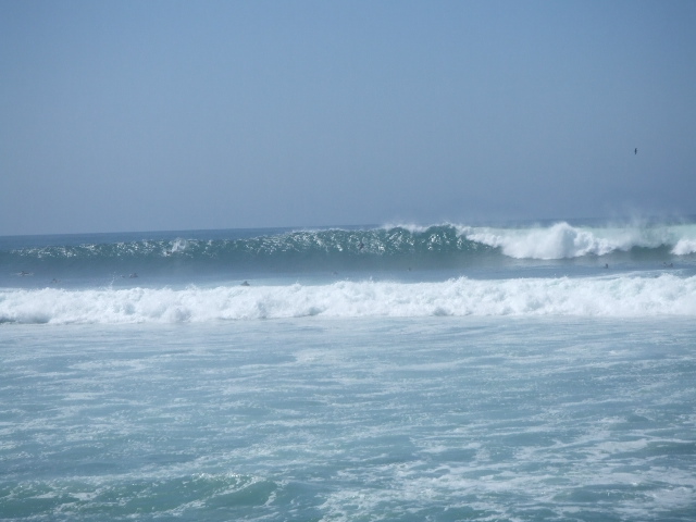 f0172157_1225384.jpg