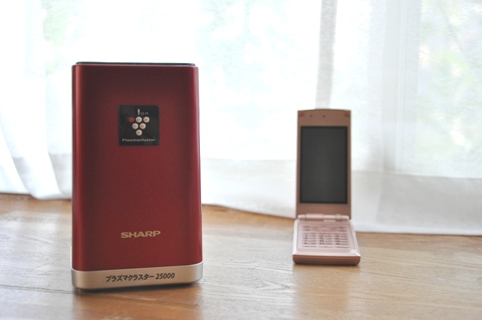 f0206162_17502292.jpg