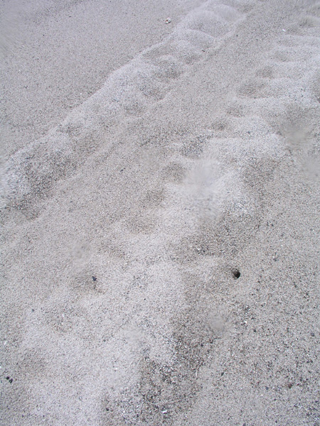 b0062363_19472722.jpg