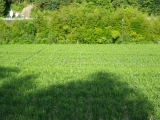 f0055264_2241357.jpg