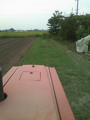 c0166668_8511975.jpg