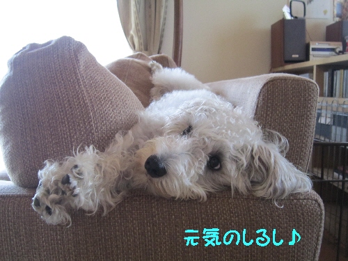 f0203369_11512591.jpg