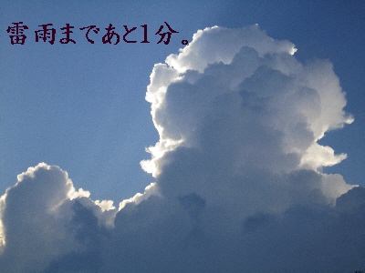 f0203369_1151448.jpg