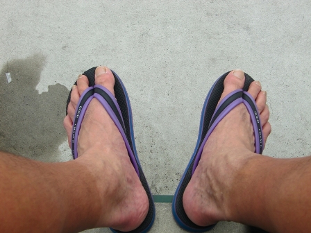 f0238779_834199.jpg