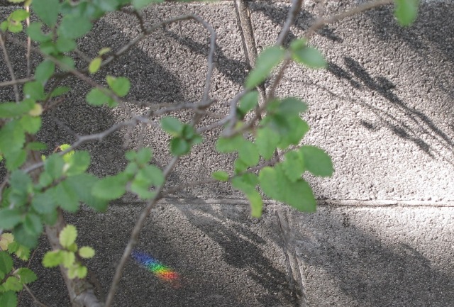 a0091680_16255298.jpg
