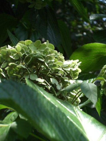 f0039281_1442061.jpg