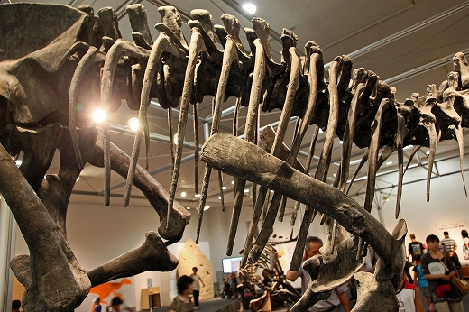 e0190885_19383224.jpg