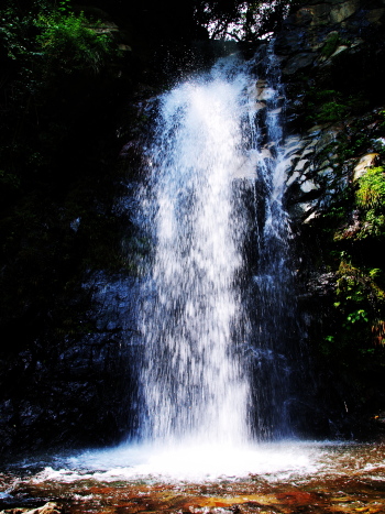 f0103688_21181465.jpg